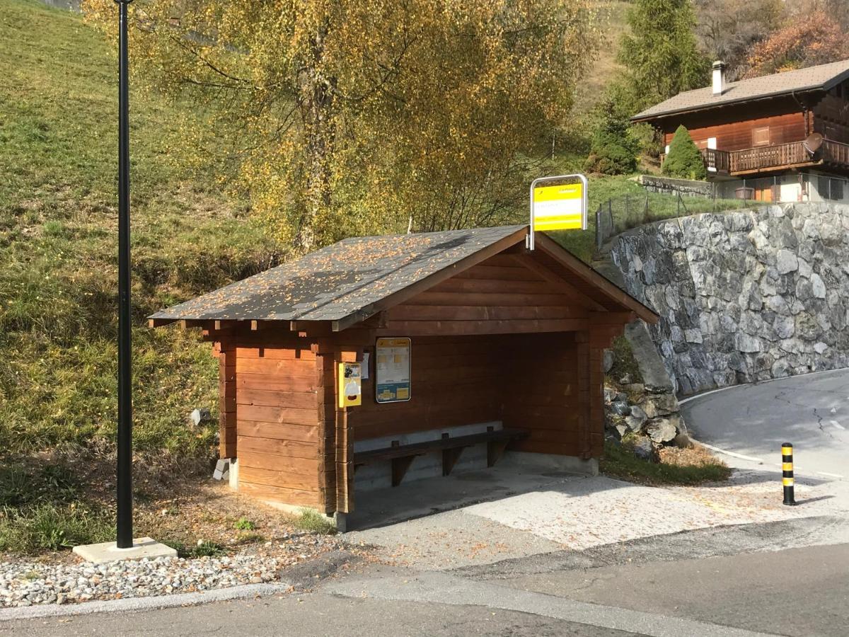 Chalet Le Fertin La Tzoumaz Exterior photo