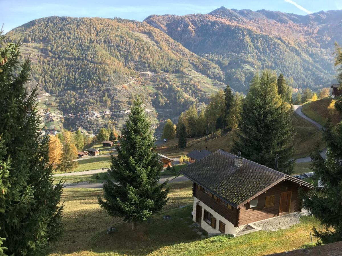 Chalet Le Fertin La Tzoumaz Exterior photo